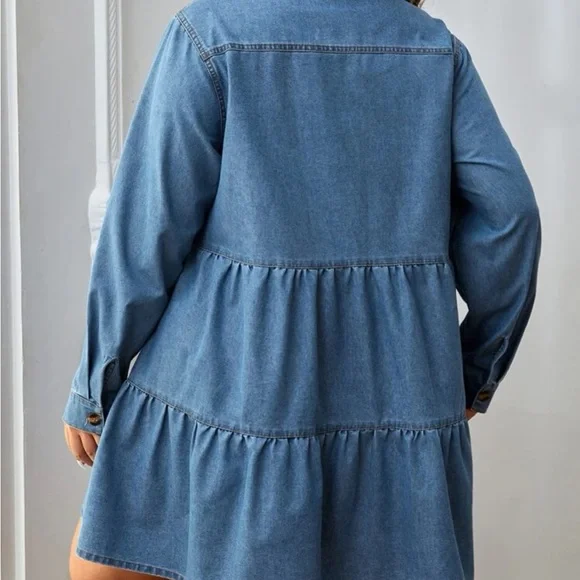 Ruffle Hem Denim Dress - Picture 4 of 4